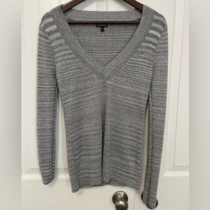 Express Silver Sparkle Sweater